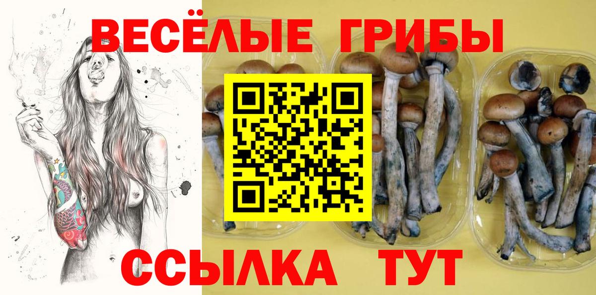 Галлюциногенные грибы ЛСД Горно-Алтайск